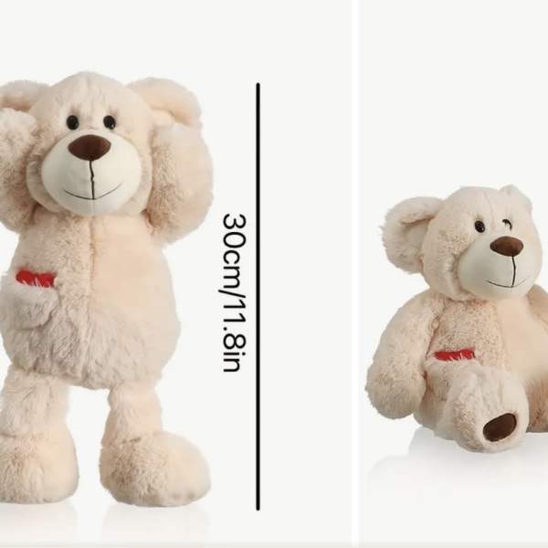 Two beige teddy bears, one standing and one sitting, with a 30 cm height label