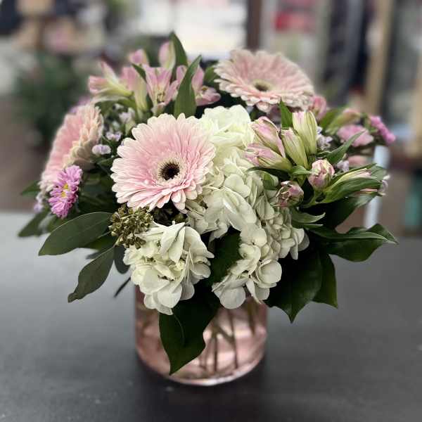 Blush & Beyond