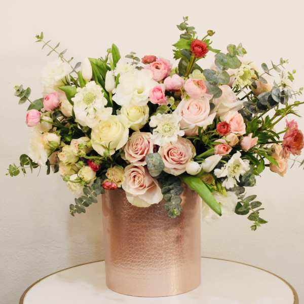 Champagne Bloom