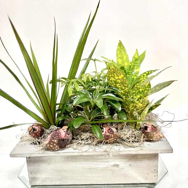 Mixed potted plants in a rectangular wooden planter with decorative mushrooms