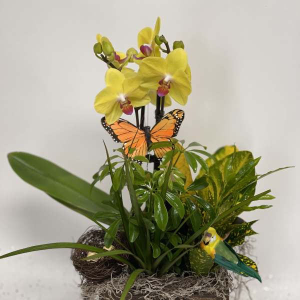 Yellow orchids in a wooden planter with a butterfly and bird decoration