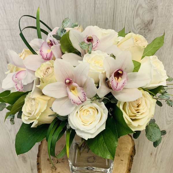 Scottsdale Beauty