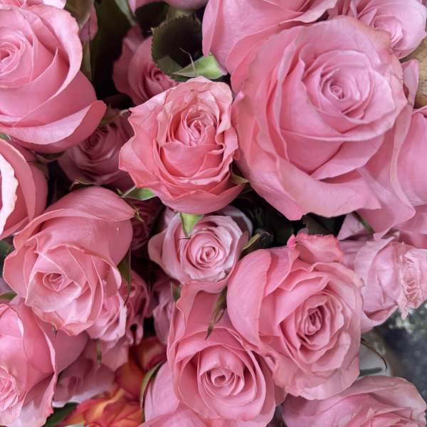 Pink Roses Bouquet