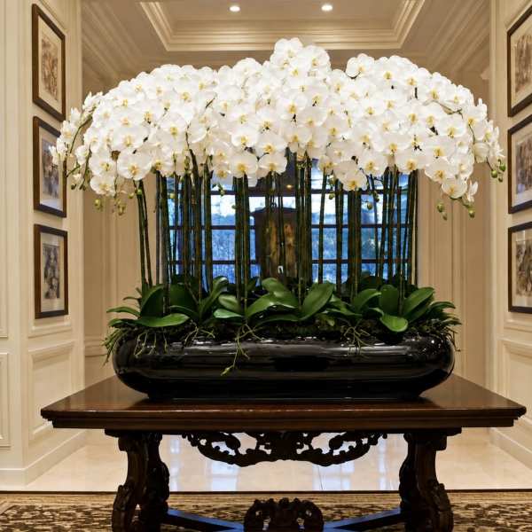 Luxury White Orchid Arrangement – Same-Day Delivery Available