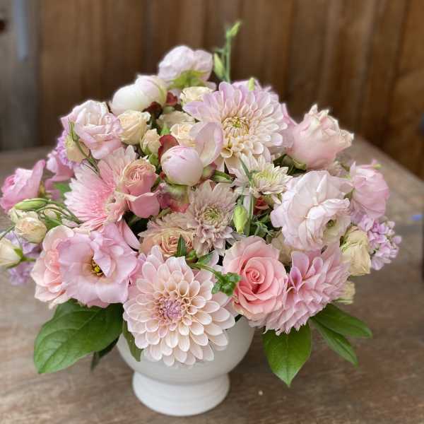 Pink Gal