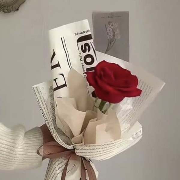 Single red rose wrapped in printed paper with a ribbon