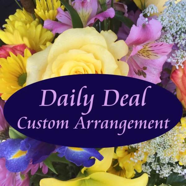 Daily Deal