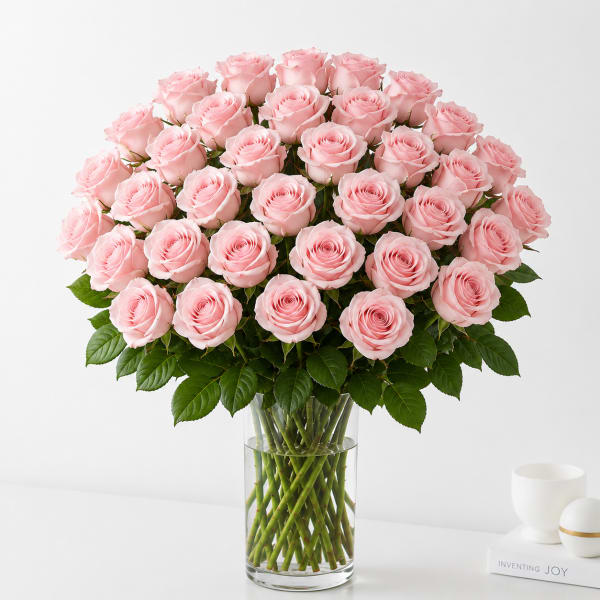 36 Light Pink Roses