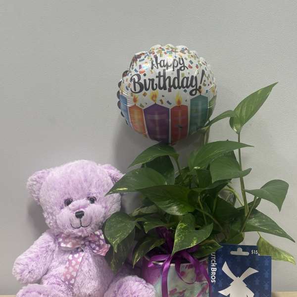 Potted green plant with a birthday balloon, teddy bear, and gift card