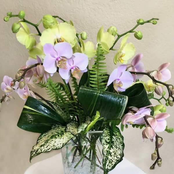 Orchid arrangement in a clear square vase with broad leaves