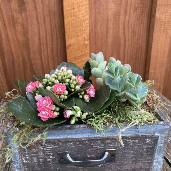 Succulent arrangement with pink blooms in a rustic wooden box