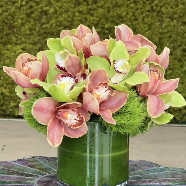Pink and green orchids arranged in a glass vase
