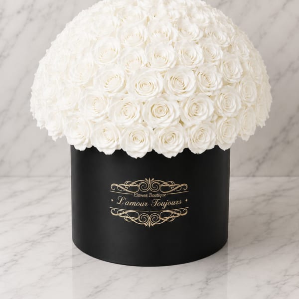 White rose dome in a black round box