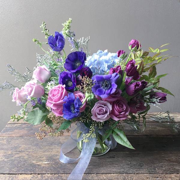 Paran (Gallery Photo)