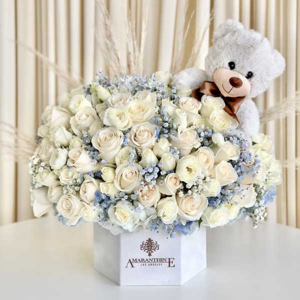 Baby's First Blooms