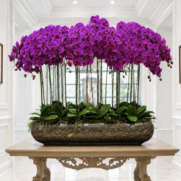 Luxury Purple Orchid Arrangement – Same-Day Delivery Available