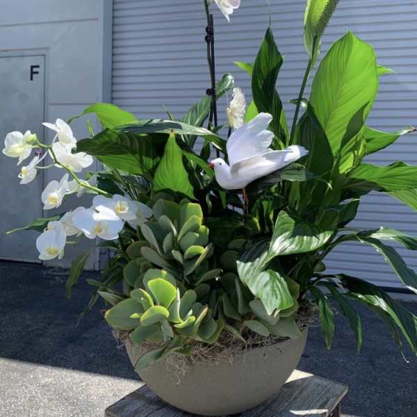 White orchids and green tropical foliage in a round planter with a white bird figurine