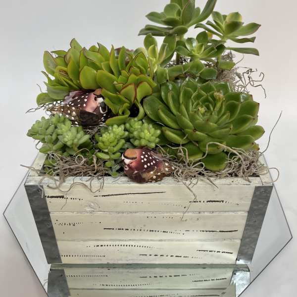 Succulent arrangement in a wooden box with decorative bird accents