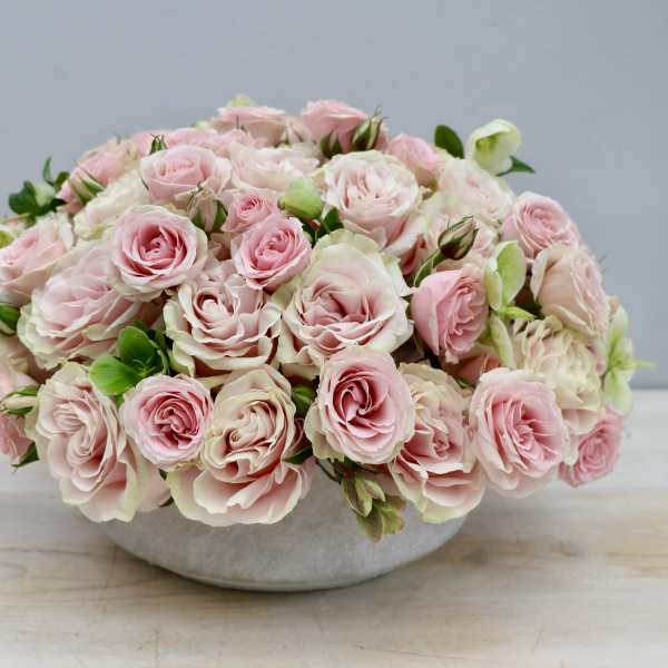 Low arrangement of pale pink roses densely packed in a round white bowl