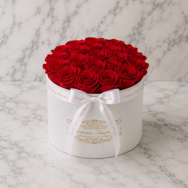 Round box of red roses tied with a white ribbon