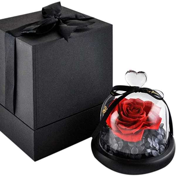 Red rose under a glass dome beside a black gift box