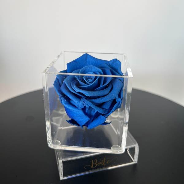 Petit Boîte (Dark Blue)