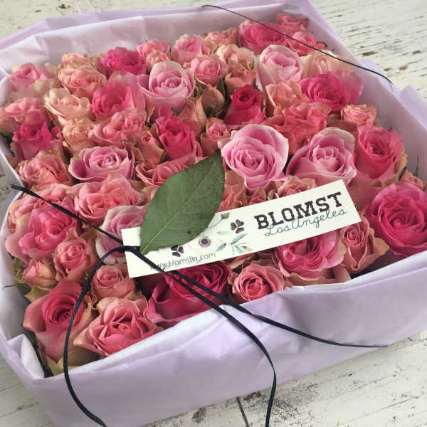 Emily Rose box