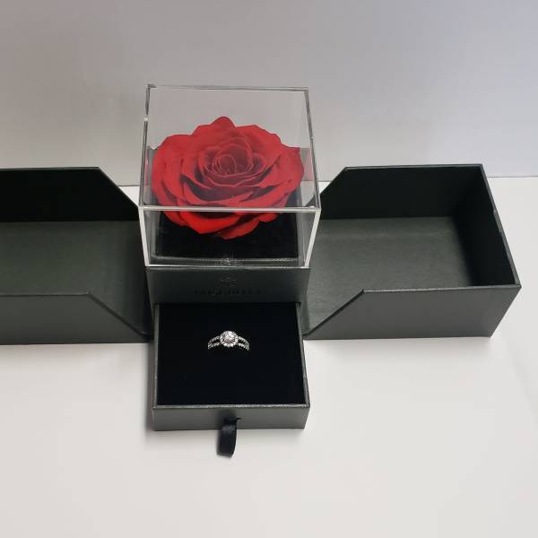 Red rose in a clear box with a ring in a black jewelry box