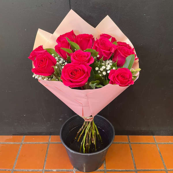 Daily Dozen Rose Bouquet (Pink/Red/Purple/Mix)