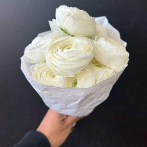 Popular Cool-Season Ranunculus Flower (Per Stem)