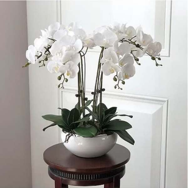 White orchid arrangement in a white bowl on a small table