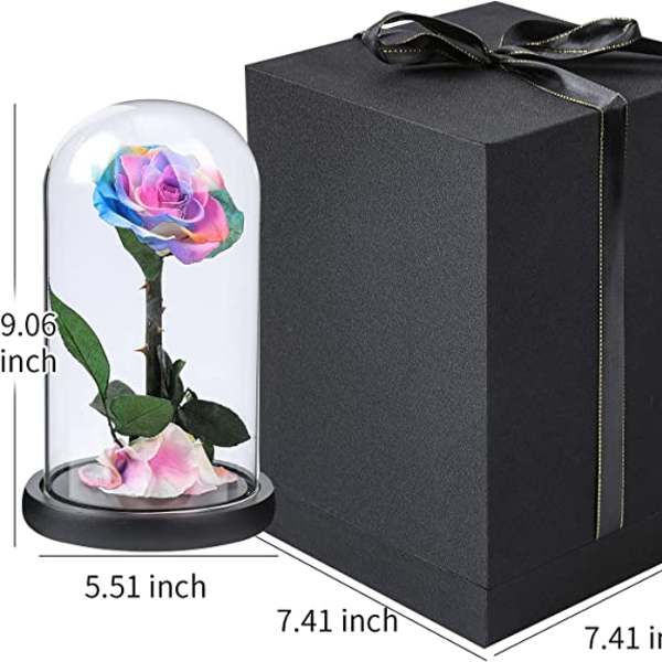 Rainbow rose under a glass dome beside a black gift box