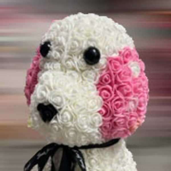 Pink and white rose arrangement shaped like a dog with a black ribbon