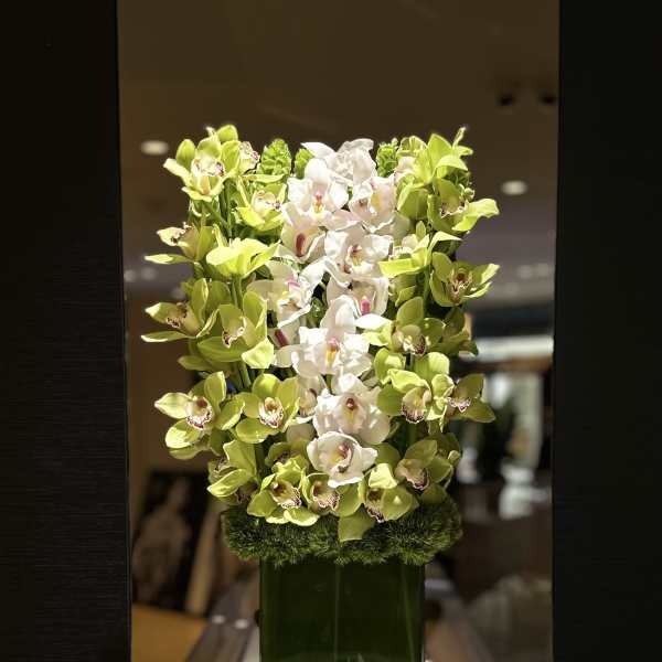 Green and white orchid arrangement in a tall glass vase