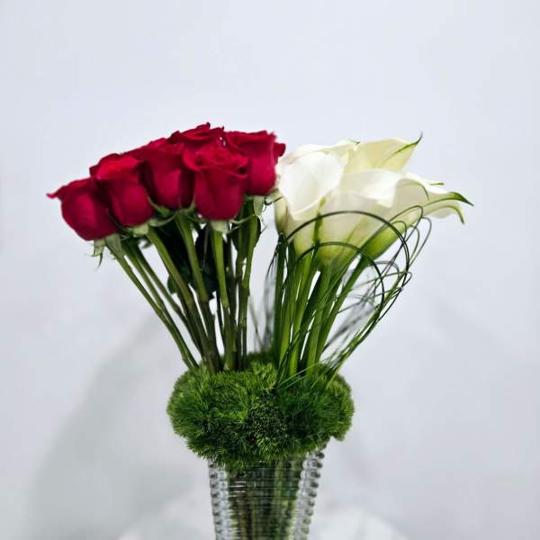 Red and white roses in a clear glass vase with green moss
