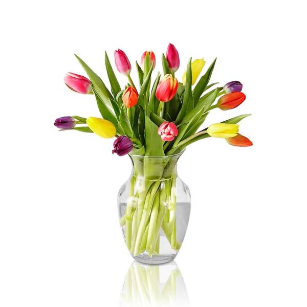 Colorful tulips arranged in a clear glass vase