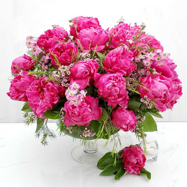 Hot to Trot