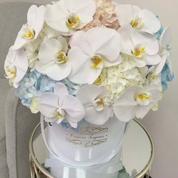 White orchids and pale hydrangeas in a white hatbox