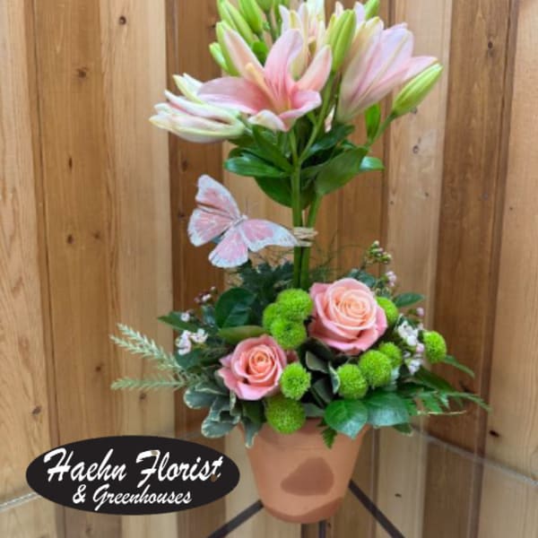 Blossoming Beauty