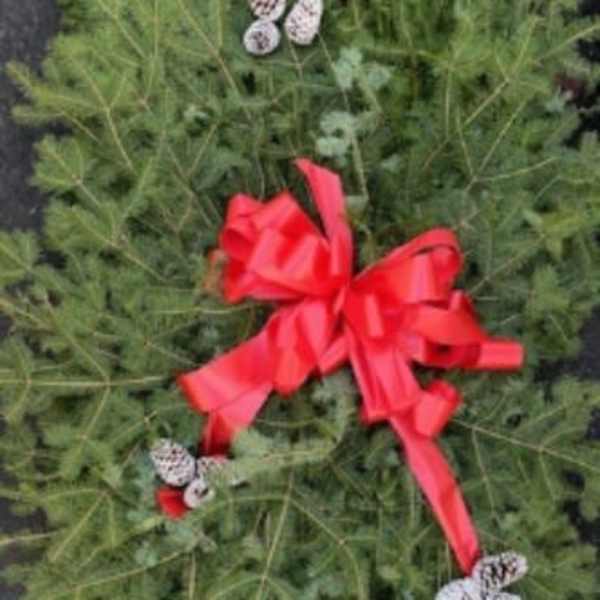 4 foot Christmas Grave Blanket