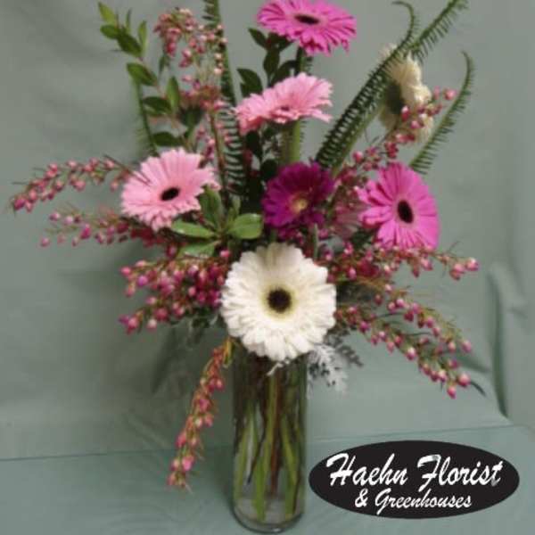 Pink and white gerbera daisies in a clear glass vase