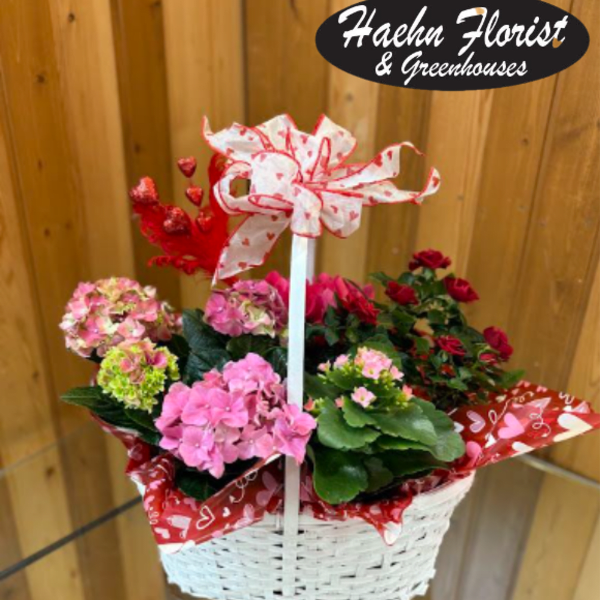 Basket of pink and red potted flowers with a heart ribbon