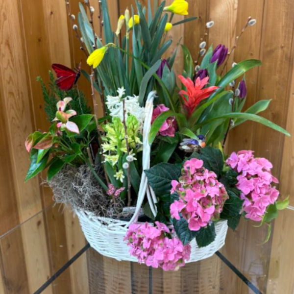 Blooming Spring Garden
