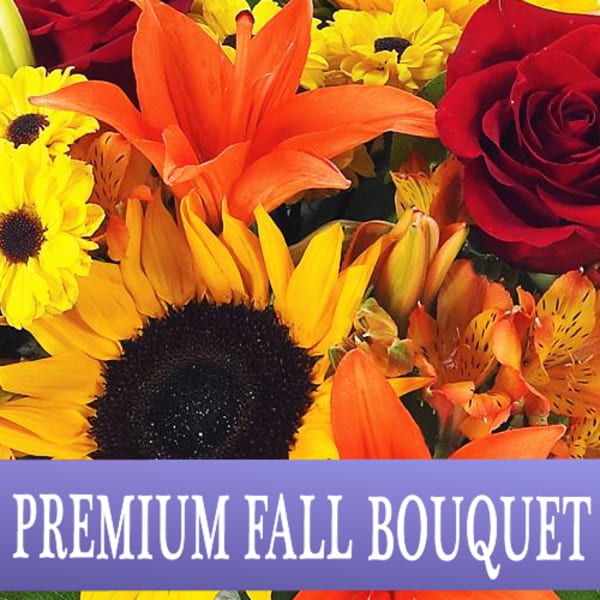 Premium Fall Designer's Choice