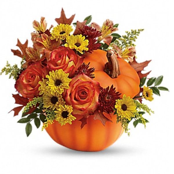 Warm Fall Wishes