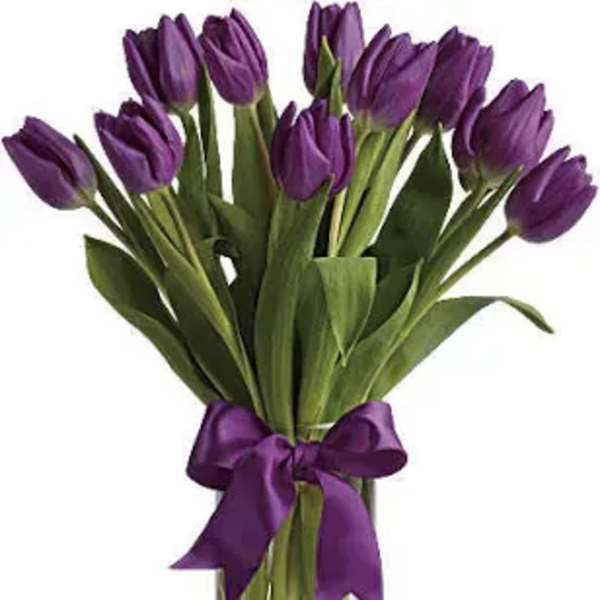 Purple tulips tied with a purple ribbon in a clear glass vase.
