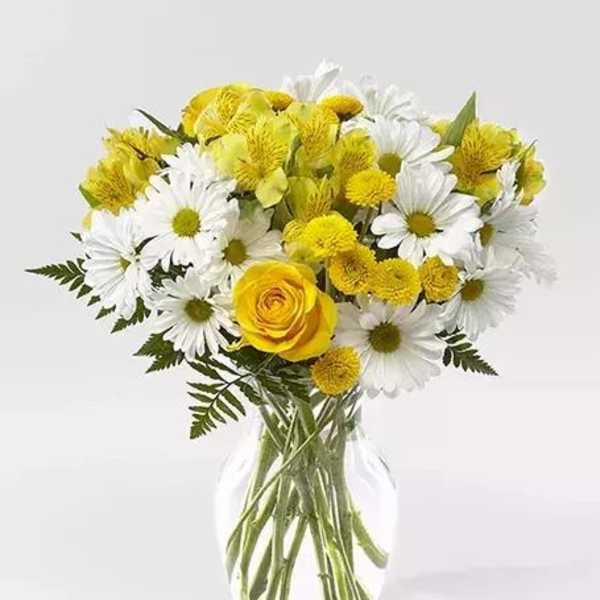 Dancing Daisies
