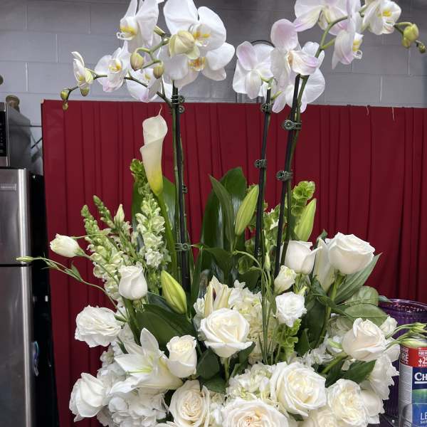 White orchid and rose arrangement in a gold vase