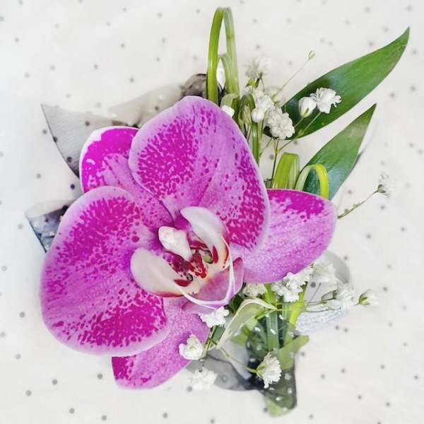 Pink orchid bouquet with white filler flowers and green leaves