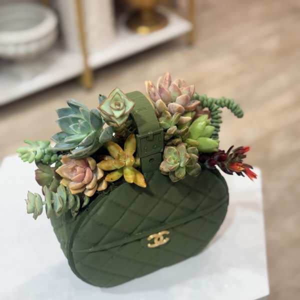 Succulent arrangement in a dark green handbag-shaped container